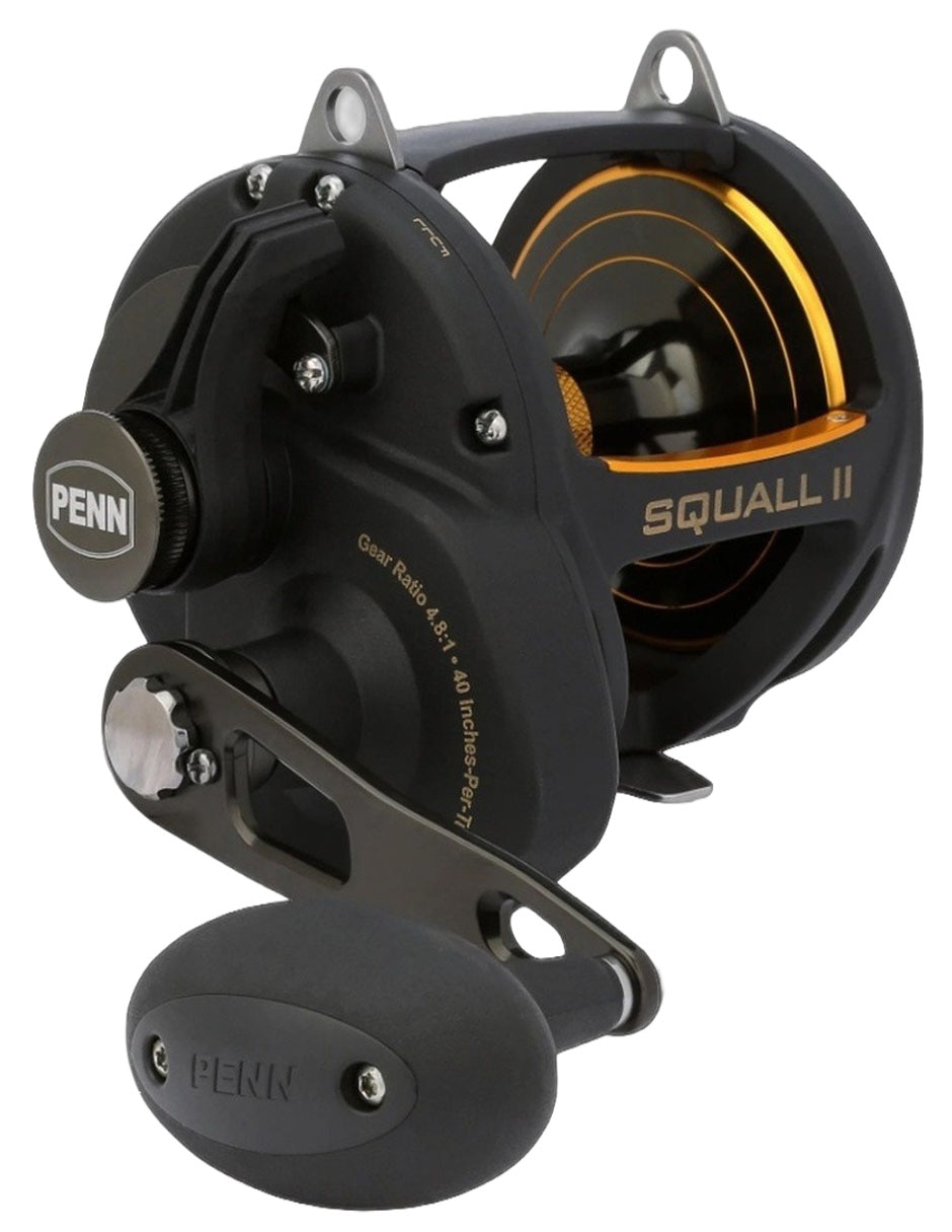 Imagen de producto Carrete de pesca Penn SQLII60LD
