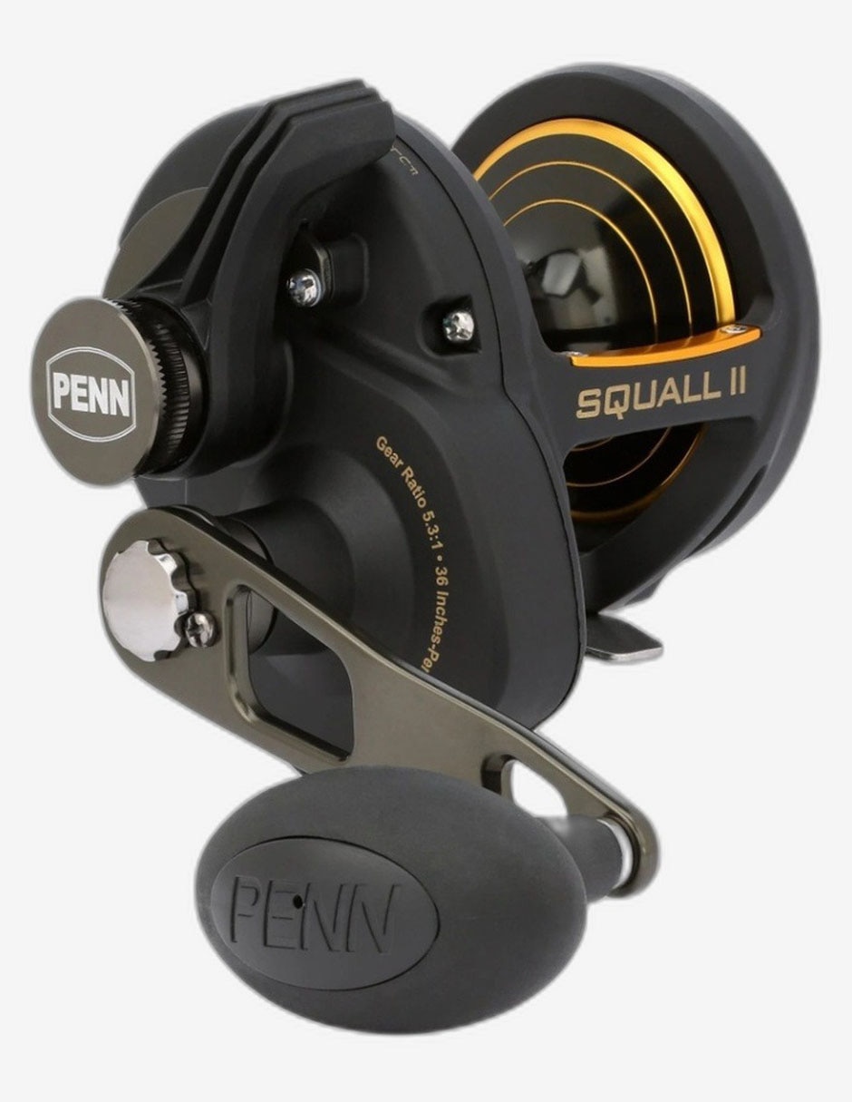 Imagen de producto Carrete de pesca Penn SQLII30LD