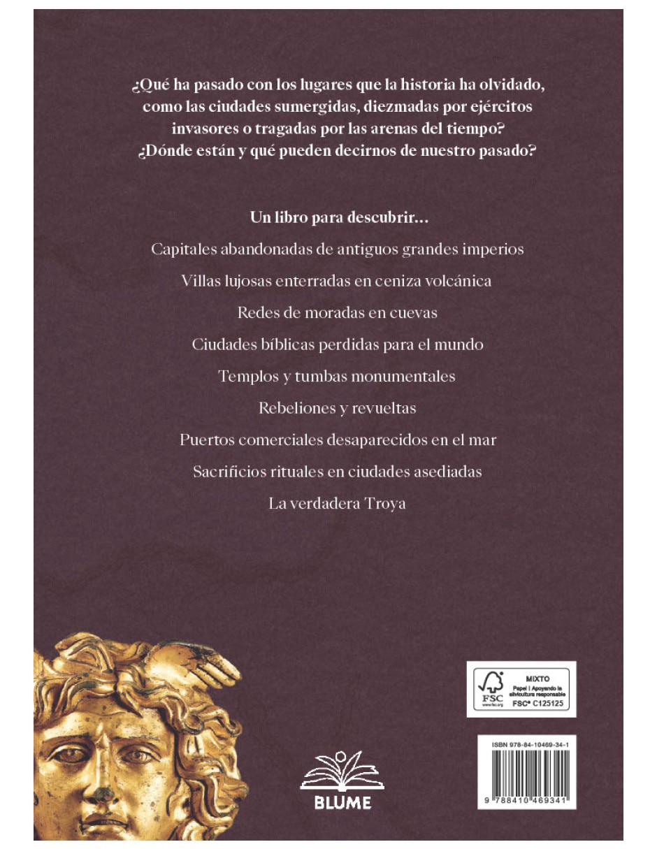 Libro Ciudades Perdidas De La Humanidad de Philip Matyszak