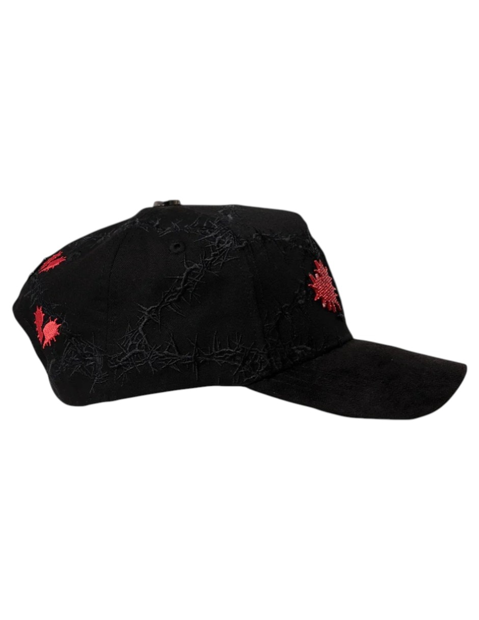 Gorra visera curva snapback casual Barbas Hats para hombre