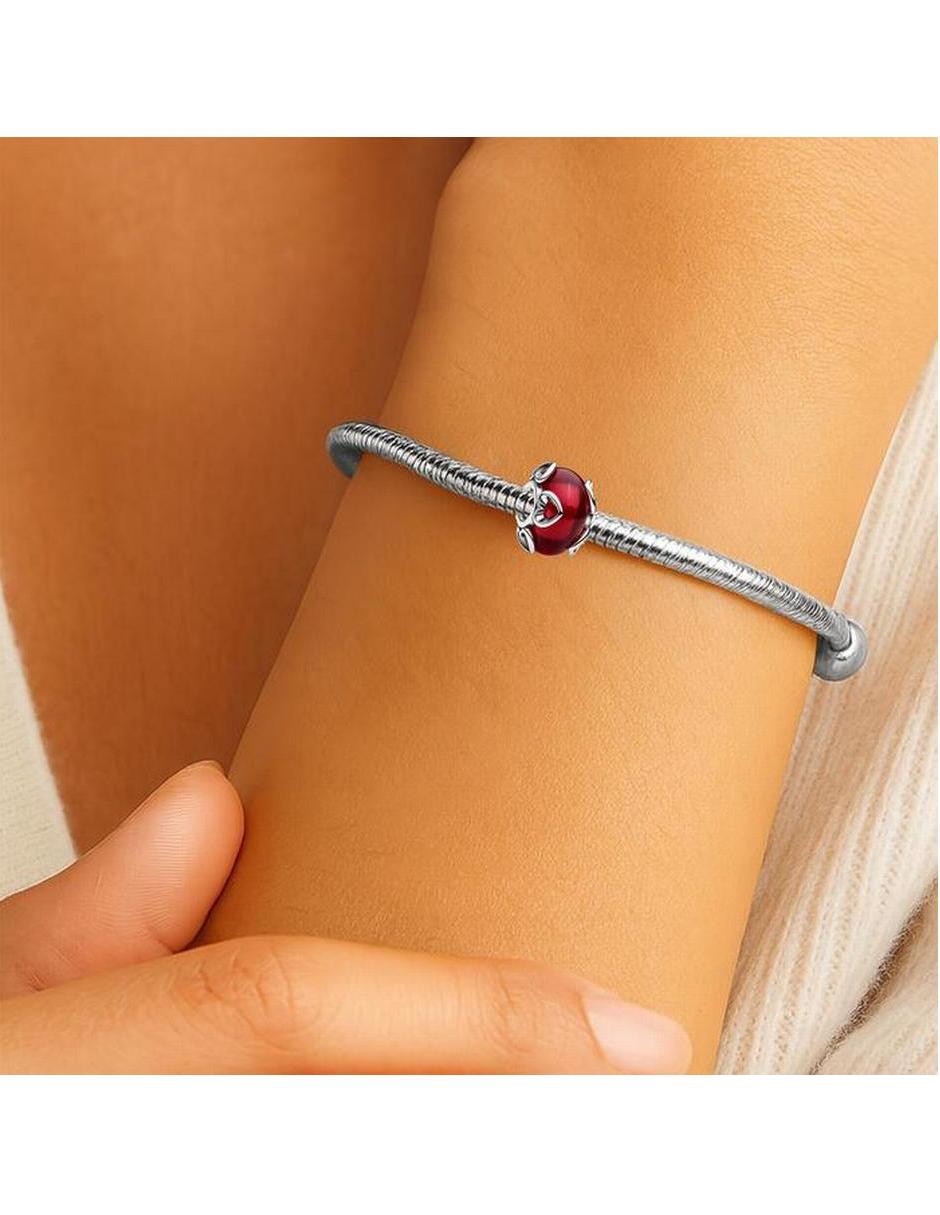 Charm para pulseras 4