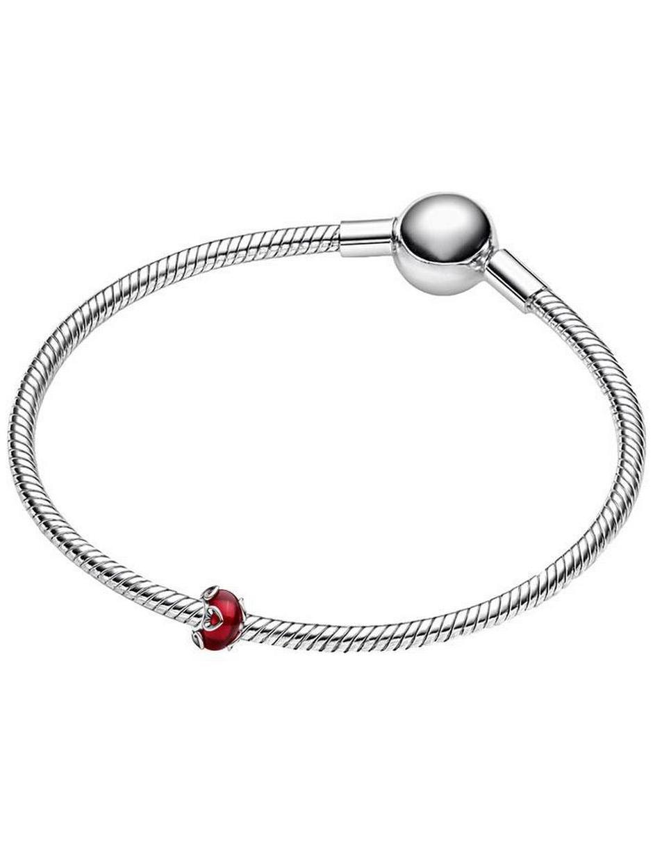 Charm para pulseras 3