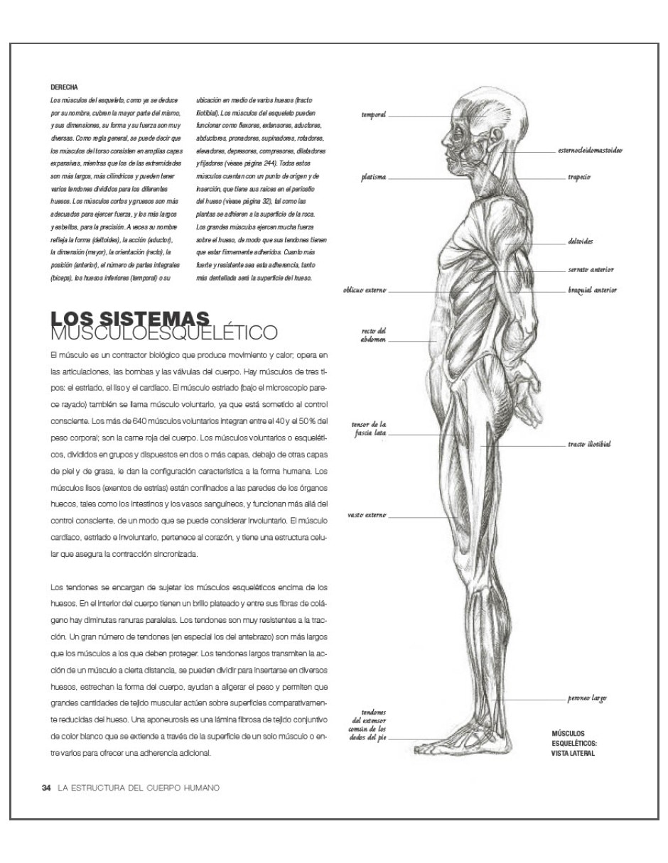 Libro Anatomía para el artista de Sarah Simblet