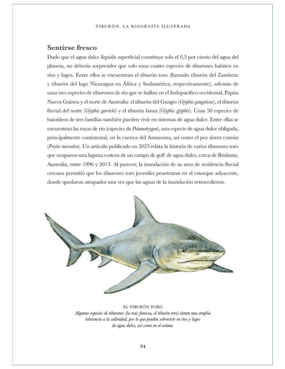 Libro Tiburón: La biografía ilustrada de Daniel C.Abel