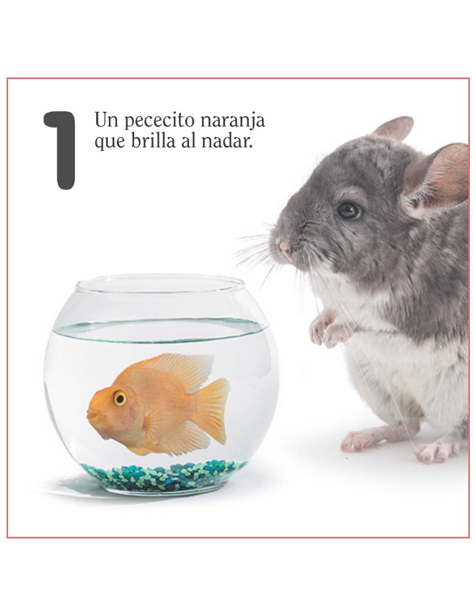 Libro Aprende a contar con los animales de Matthew Van Fleet