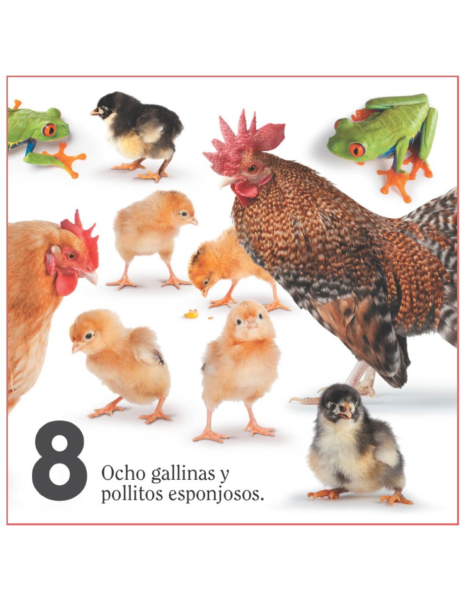 Libro Aprende a contar con los animales de Matthew Van Fleet
