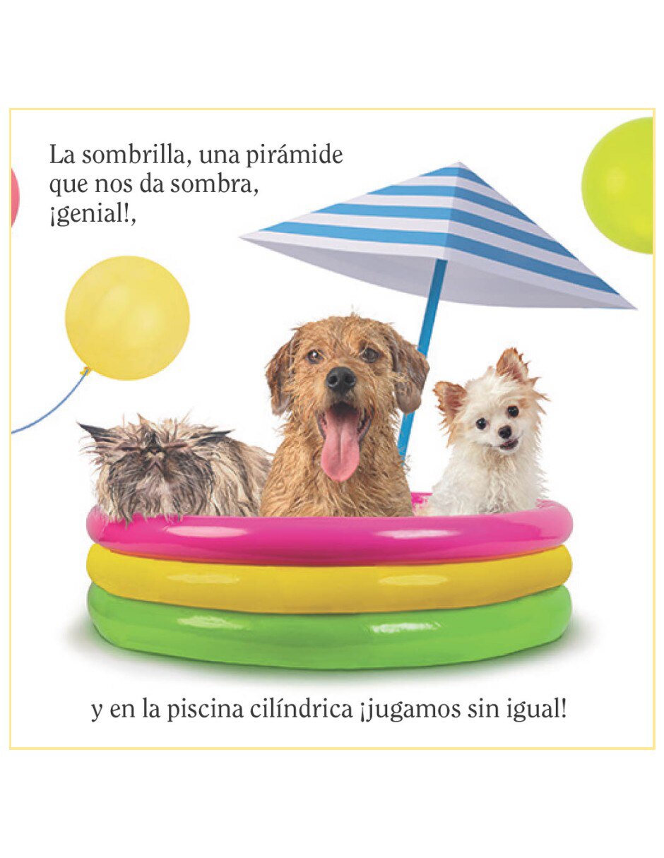 Libro Descubre las formas con los animales de Matthew Van Fleet