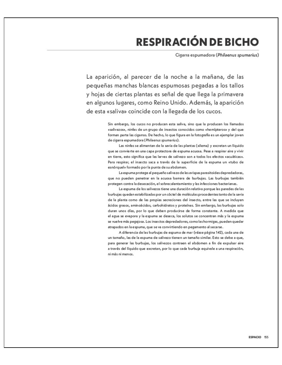 Libro Las formas de la naturaleza: Los intrincados patrones de la vida de David Maitland