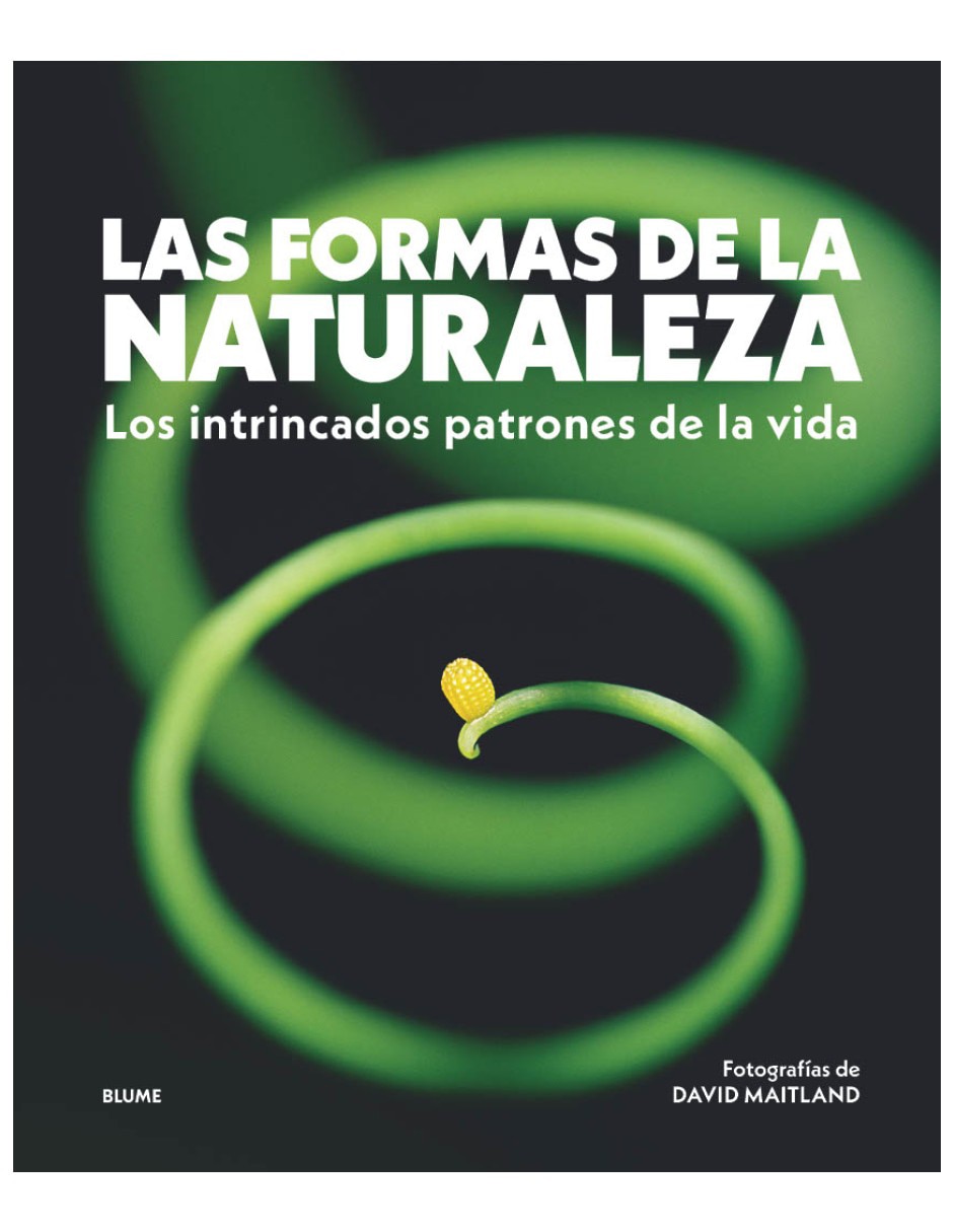 Libro Las formas de la naturaleza: Los intrincados patrones de la vida de David Maitland Libro Las formas de la naturaleza: Los intrincados patrones de la vida de David Maitland