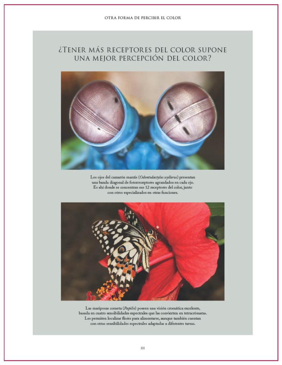 Libro El color en la naturaleza de Justin Marshall