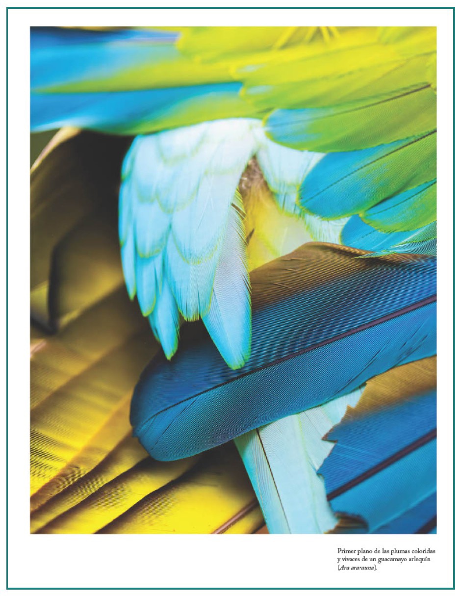 Libro El color en la naturaleza de Justin Marshall
