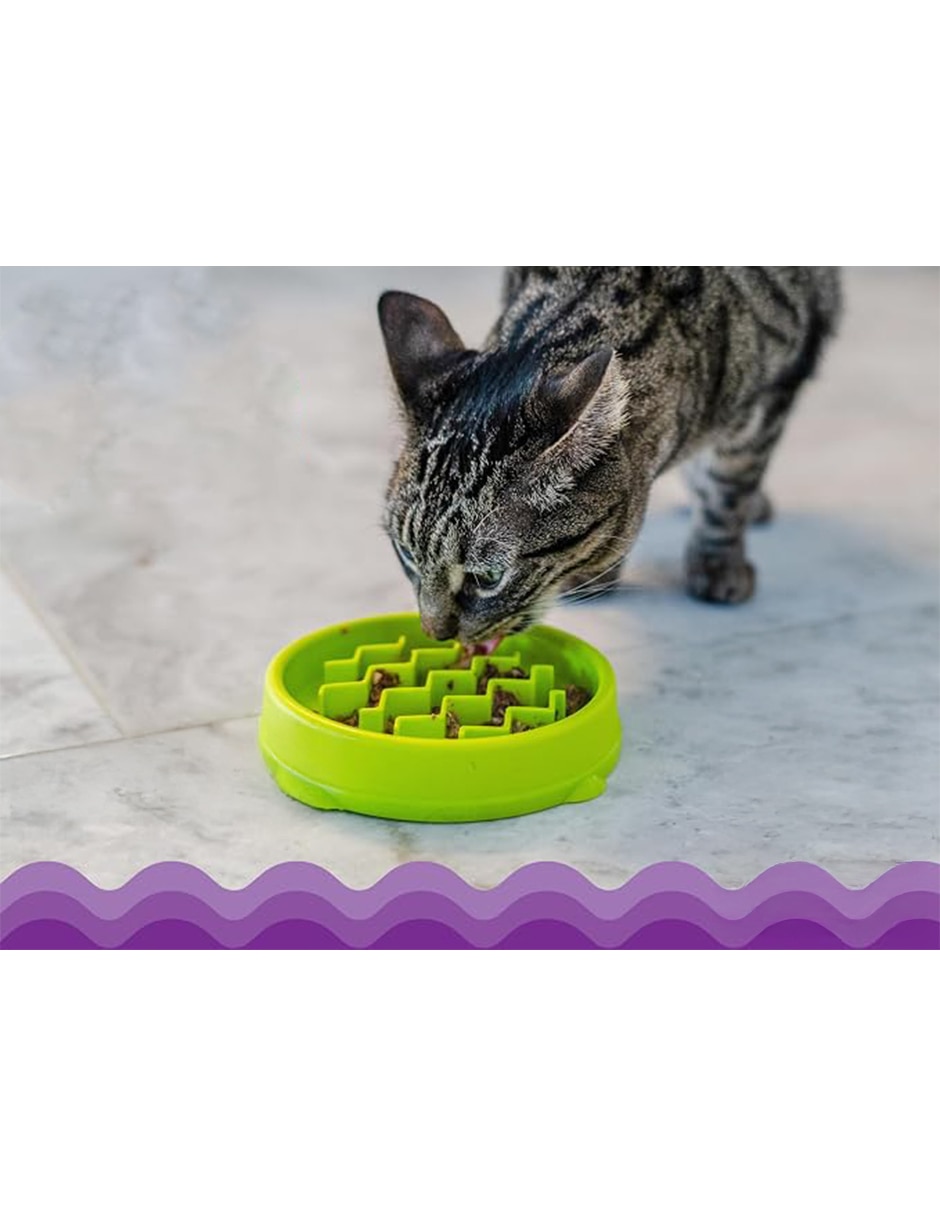 Plato para gato catstages 3/4 de taza Plato para gato catstages 3/4 de taza