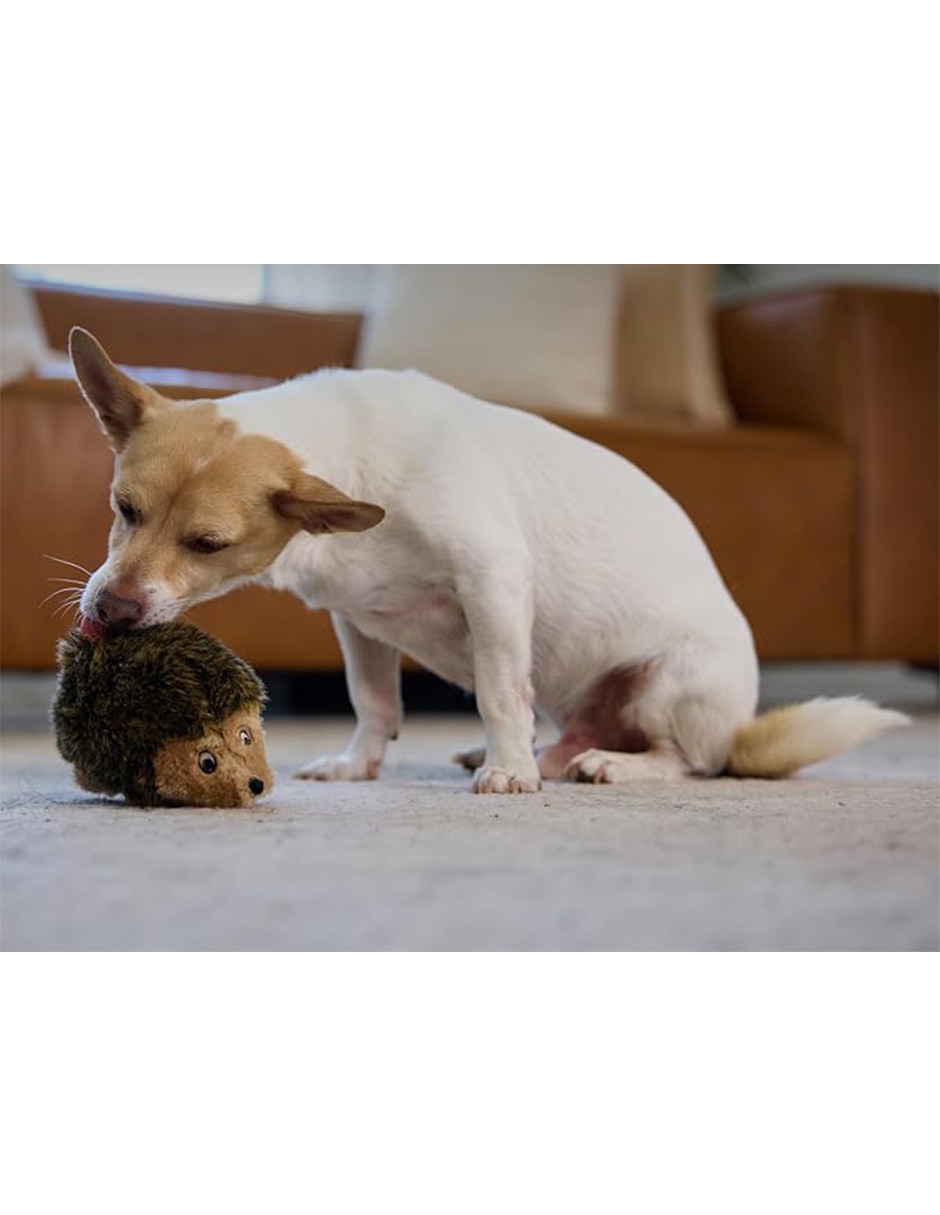 Peluche para perro Peluche para perro