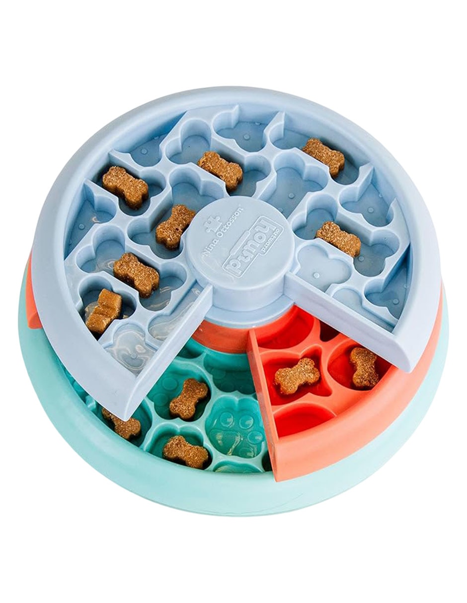 Plato perro 1