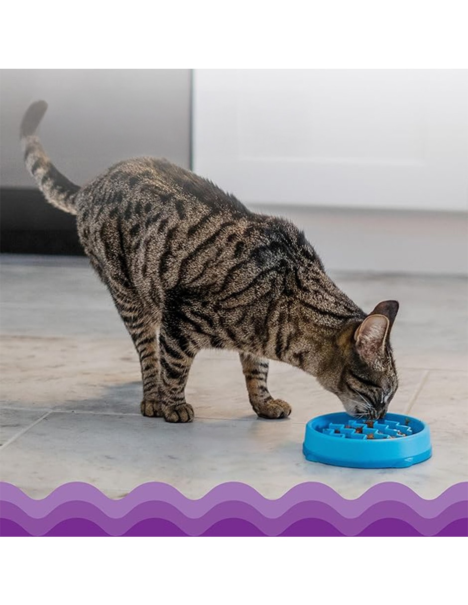 Plato para gato 14 cm Plato para gato 14 cm