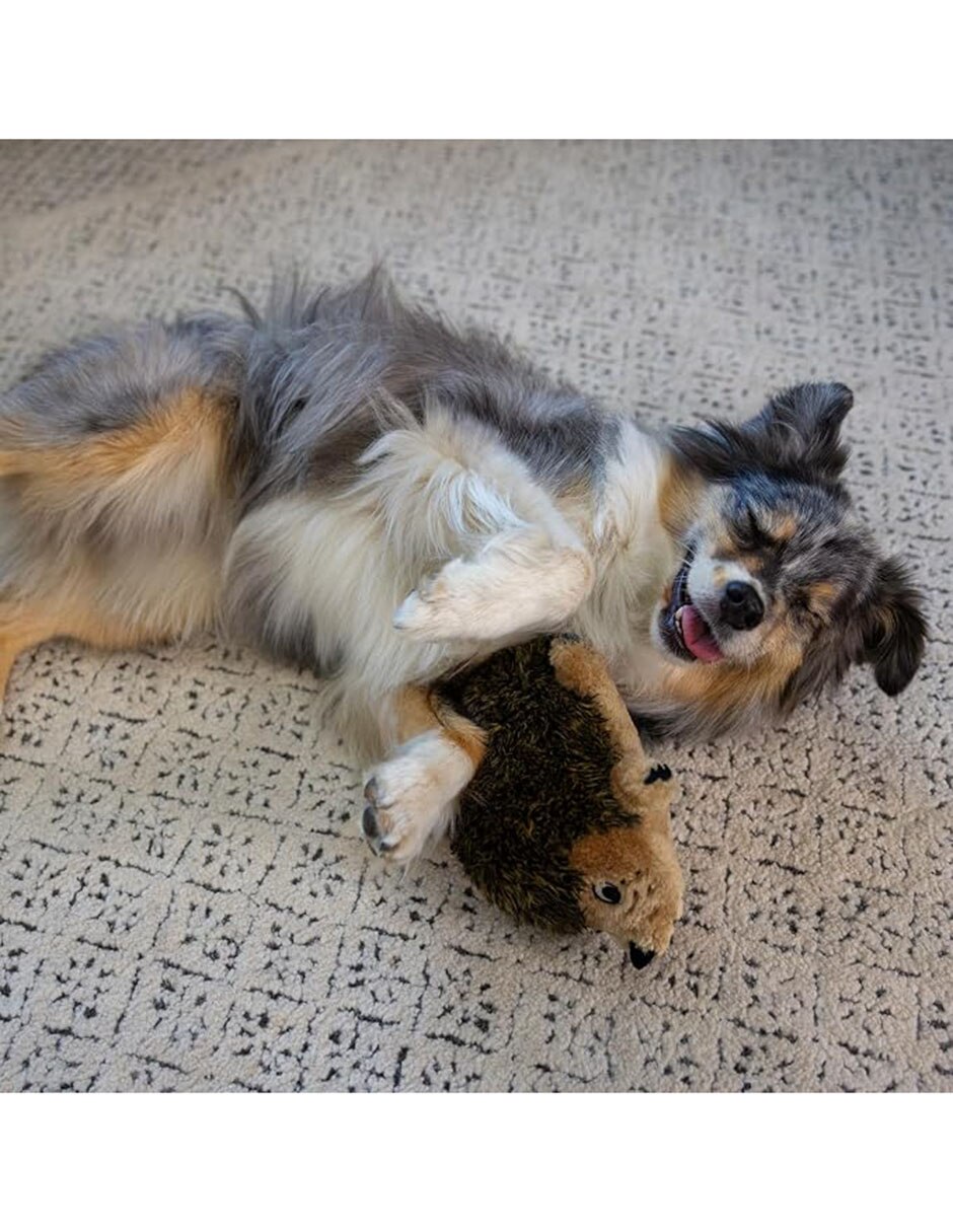 Peluche para perro Peluche para perro