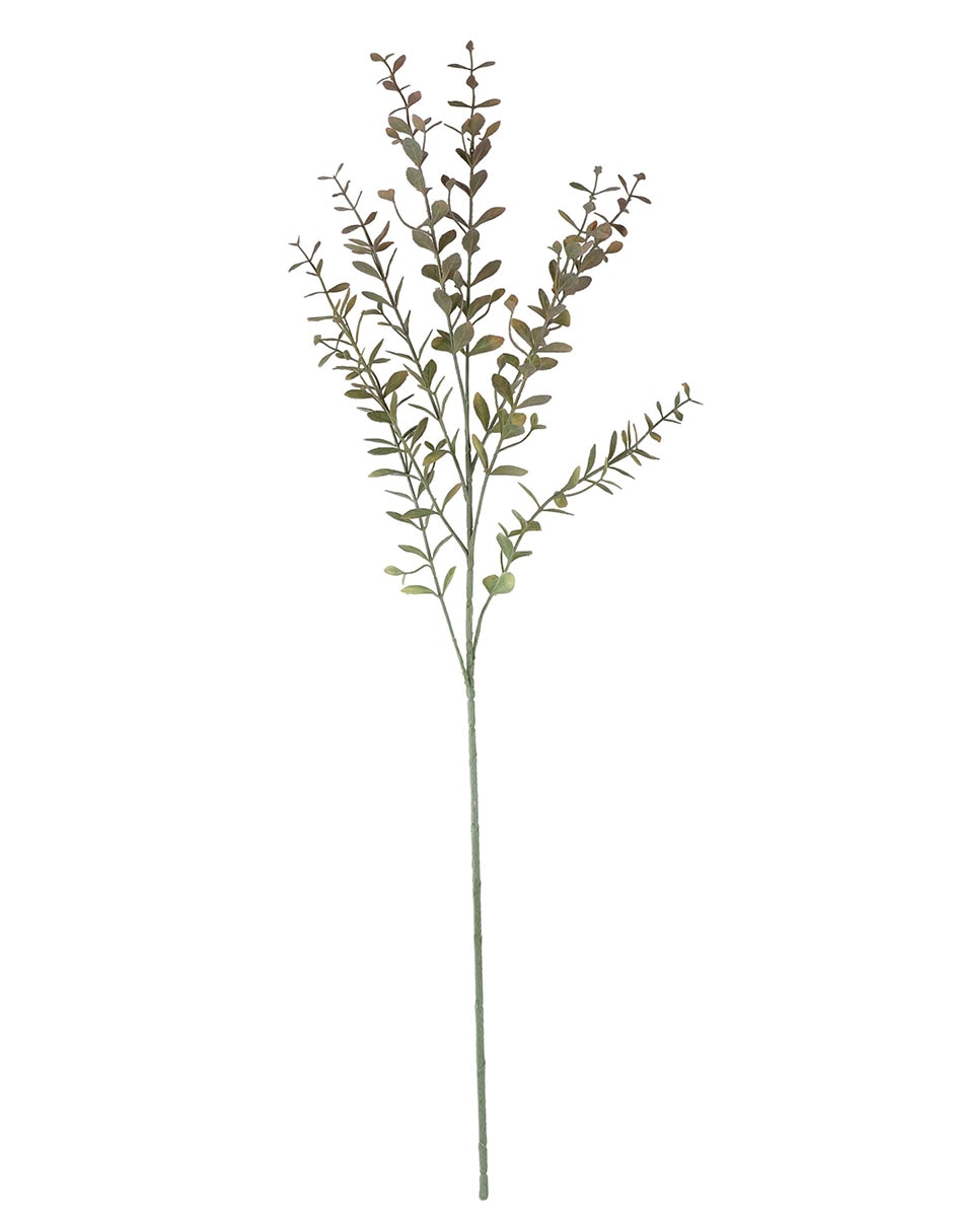 Rama decorativa 1