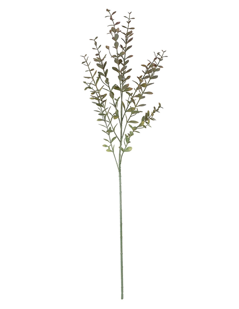 Rama decorativa 3