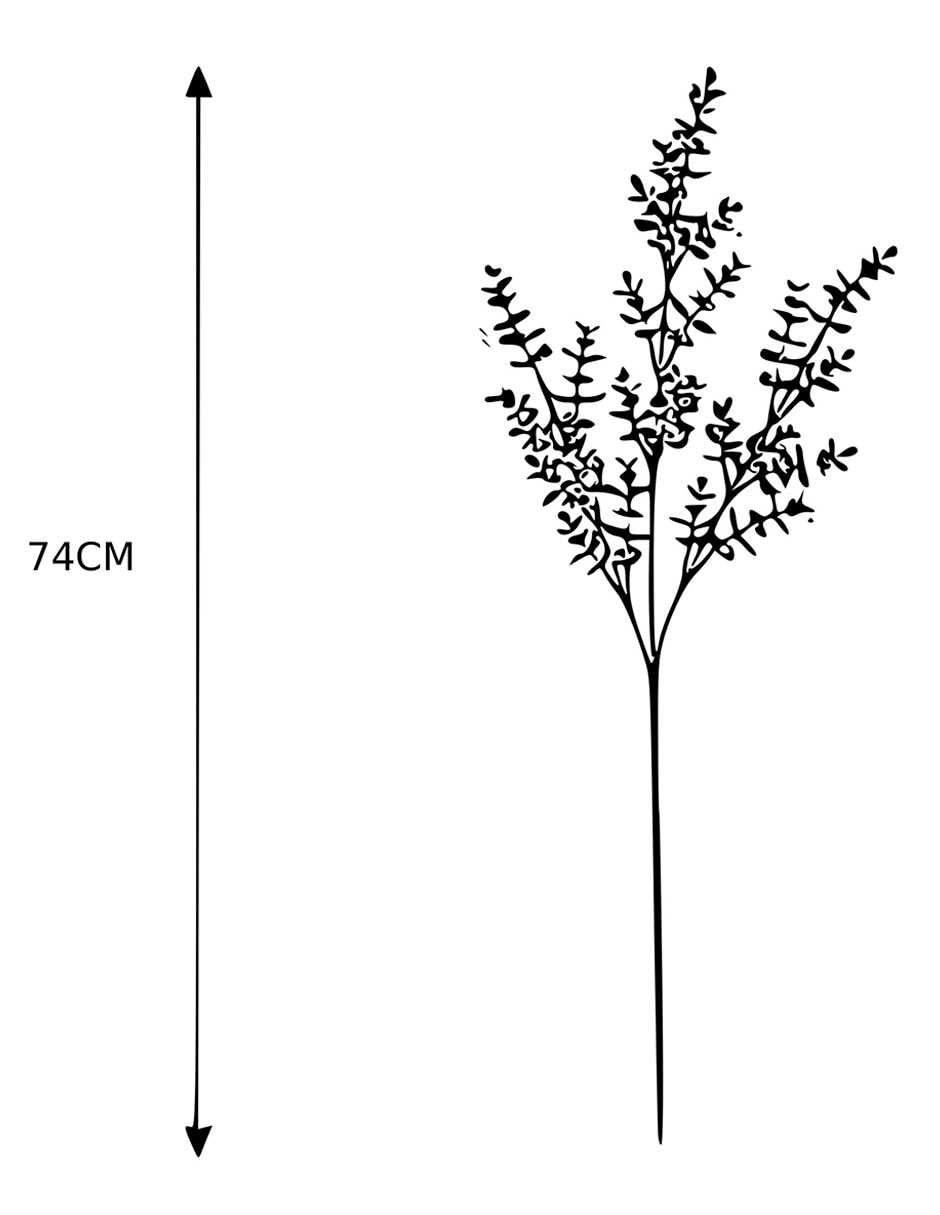 Eucalipto decorativa 4