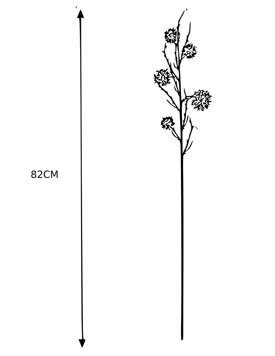 Eucalipto decorativa 4