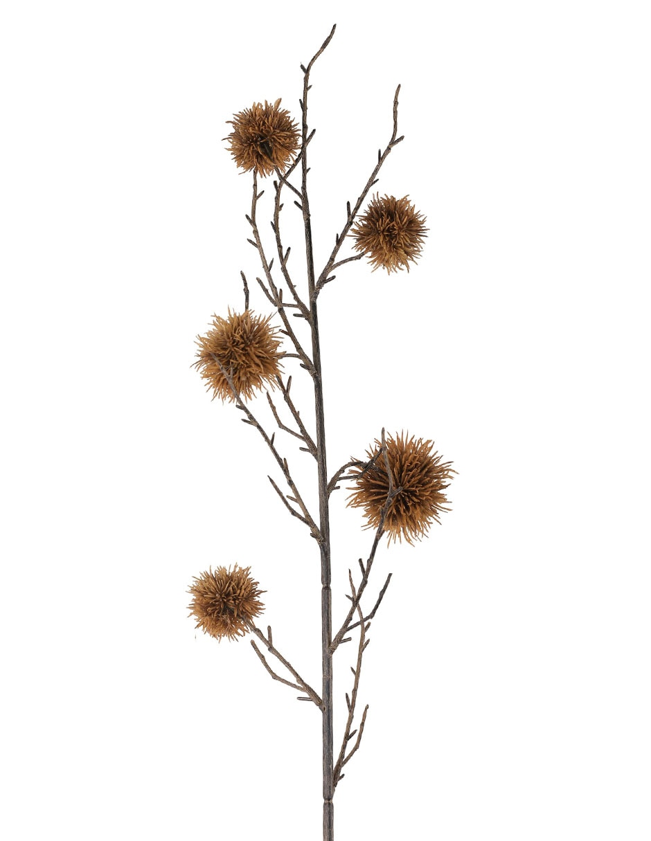Eucalipto decorativa 2
