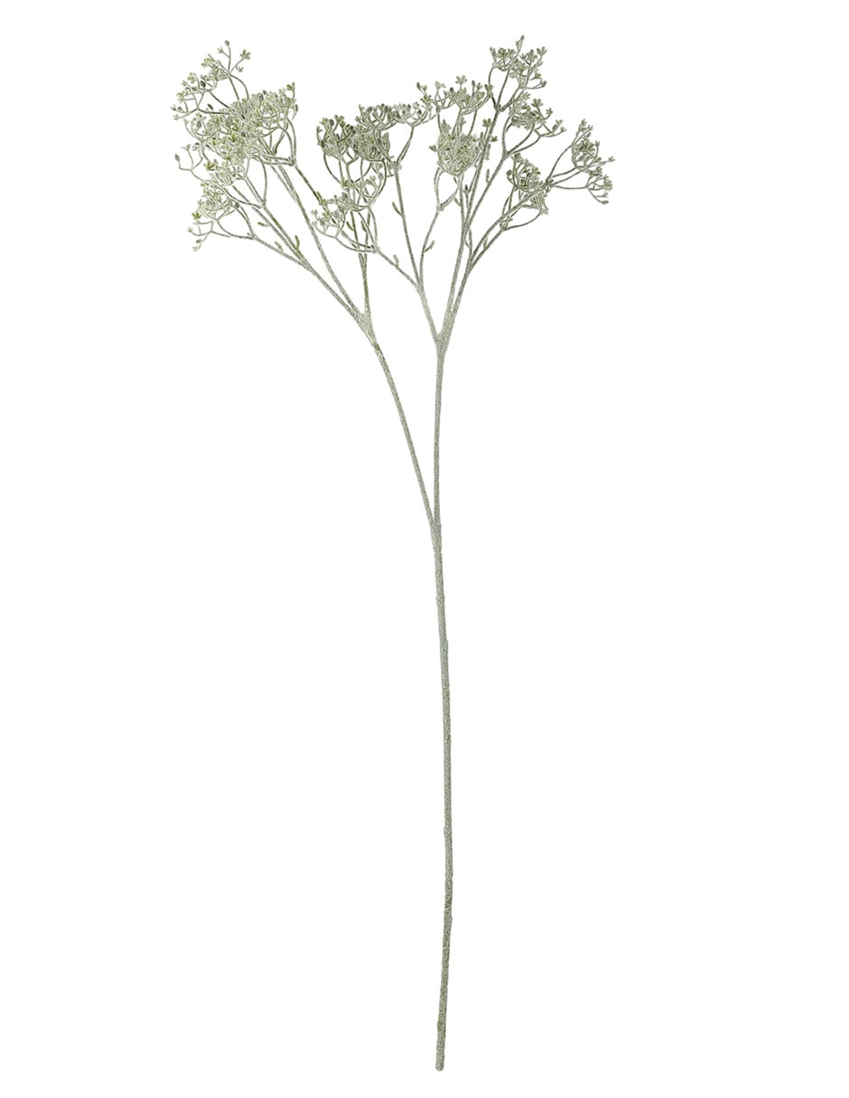 Buddleia decorativa 1