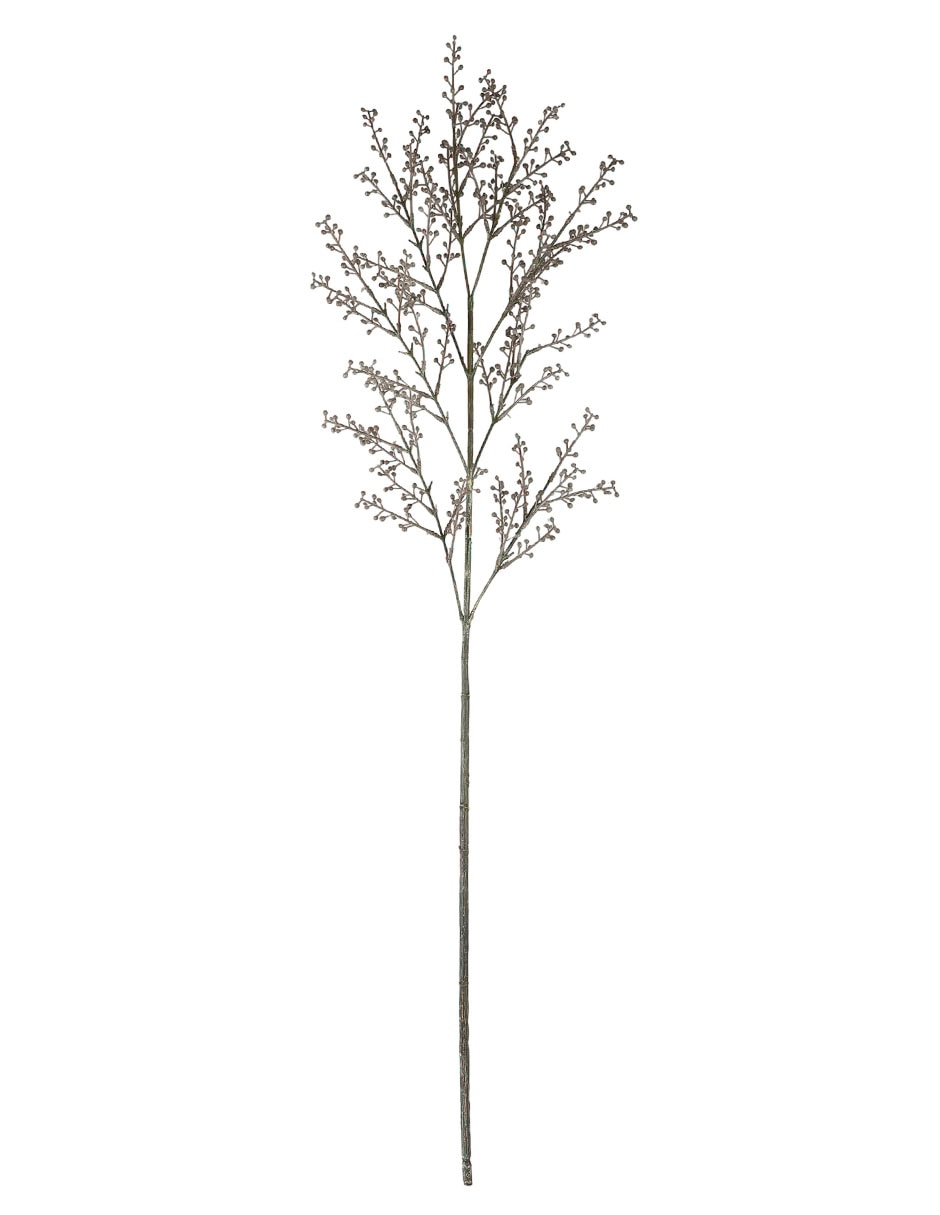 Rama acacia decorativa 1