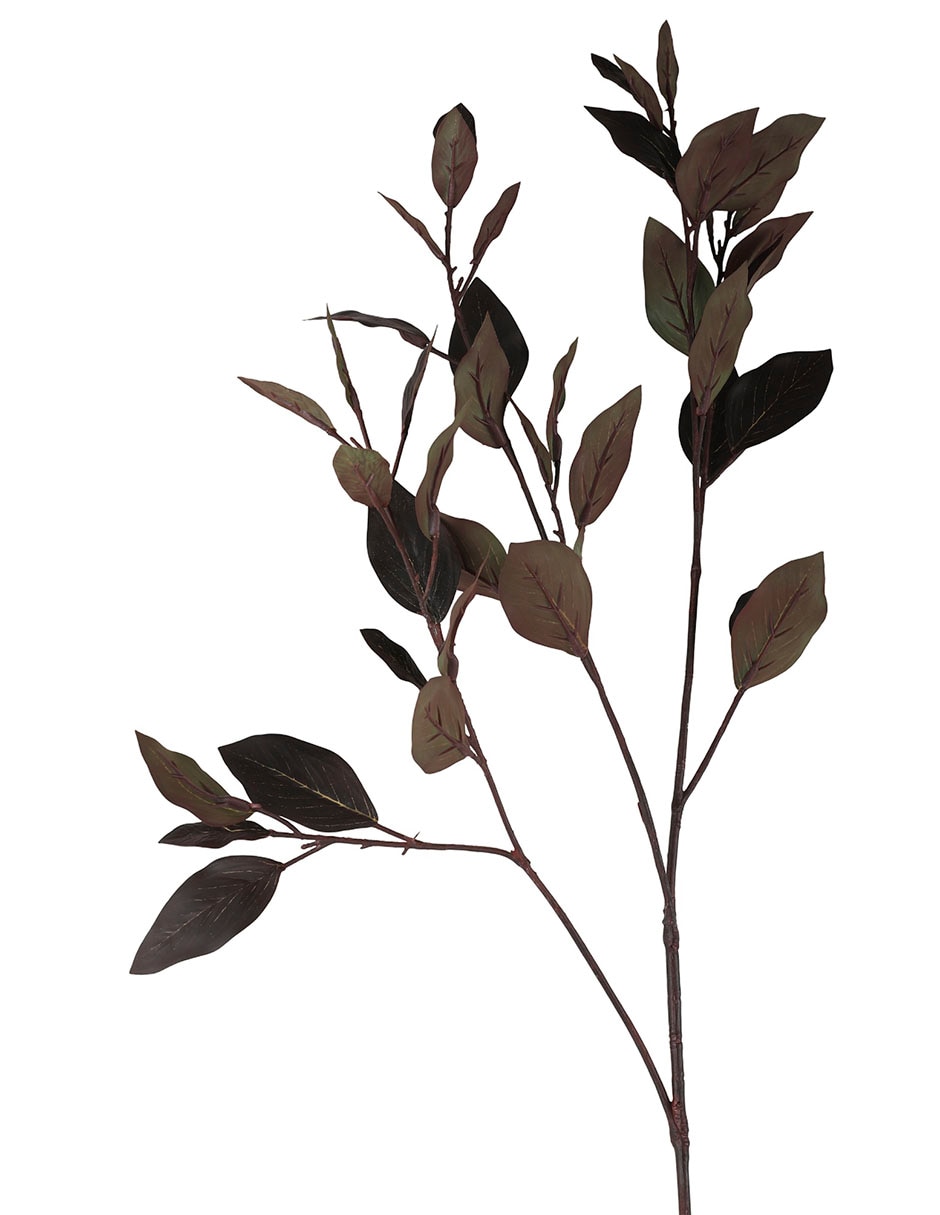 Eucalipto decorativo 2