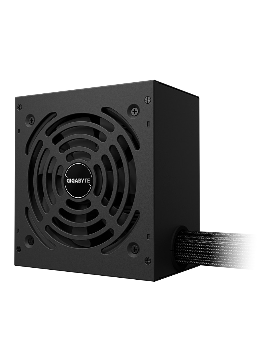 Fuente de poder P650G 4