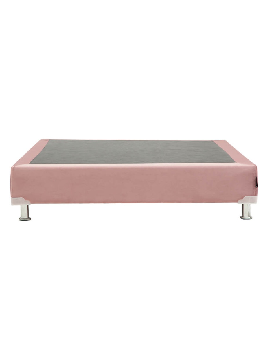 Rosa 6
