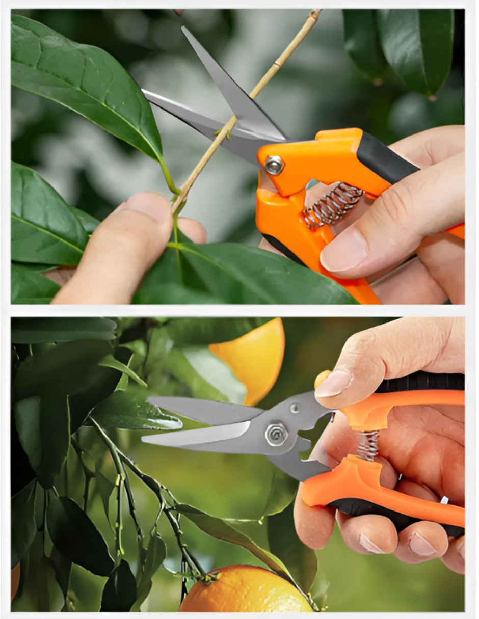 Herramientas para jardinería Xtellar