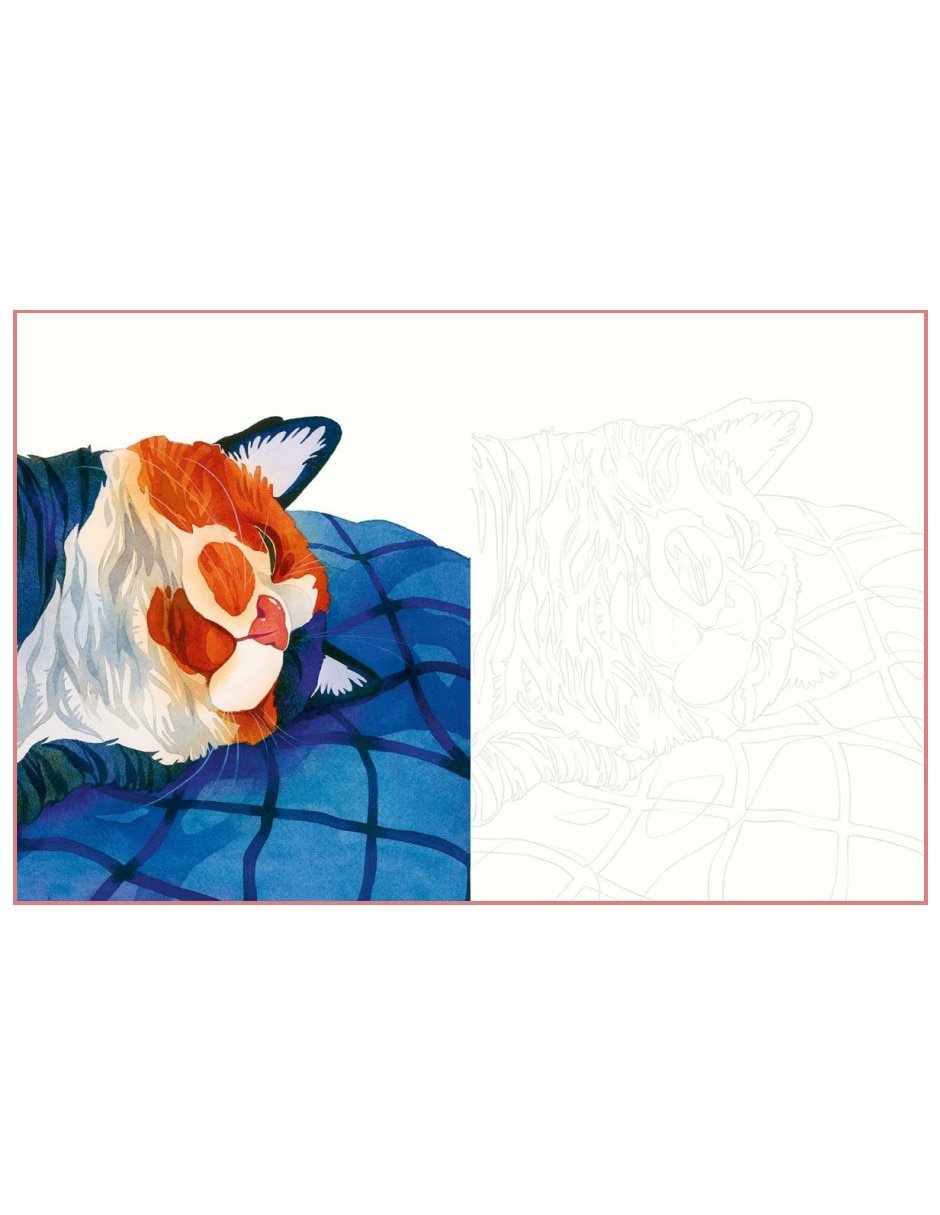 Libro Gatos en Acuarela 22 Dibujos para Pintar o Colorear: la Suavidad de los Rasgos Felinos de Emilie Lienard