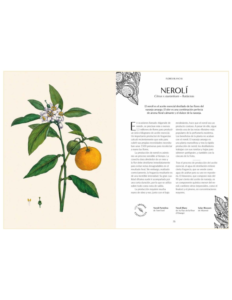Libro El Origen Botánico de las Fragancias: 100 Embriagadores Ingredientes de Josh Carter/Samuel Gearing