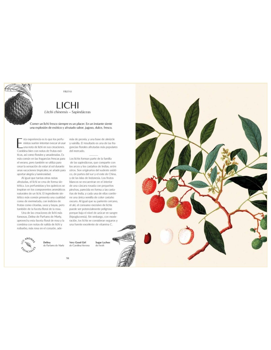 Libro El Origen Botánico de las Fragancias: 100 Embriagadores Ingredientes de Josh Carter/Samuel Gearing