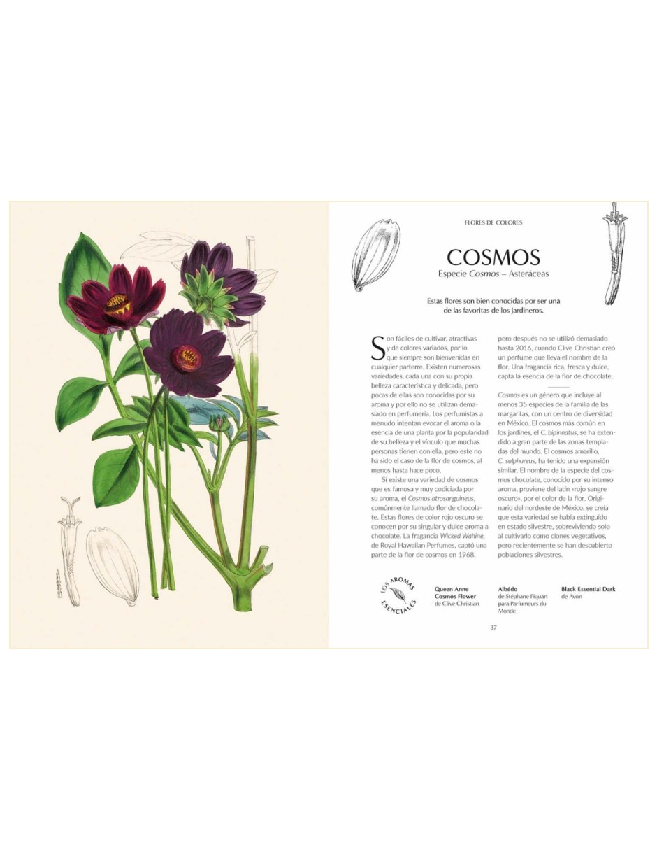 Libro El Origen Botánico de las Fragancias: 100 Embriagadores Ingredientes de Josh Carter/Samuel Gearing