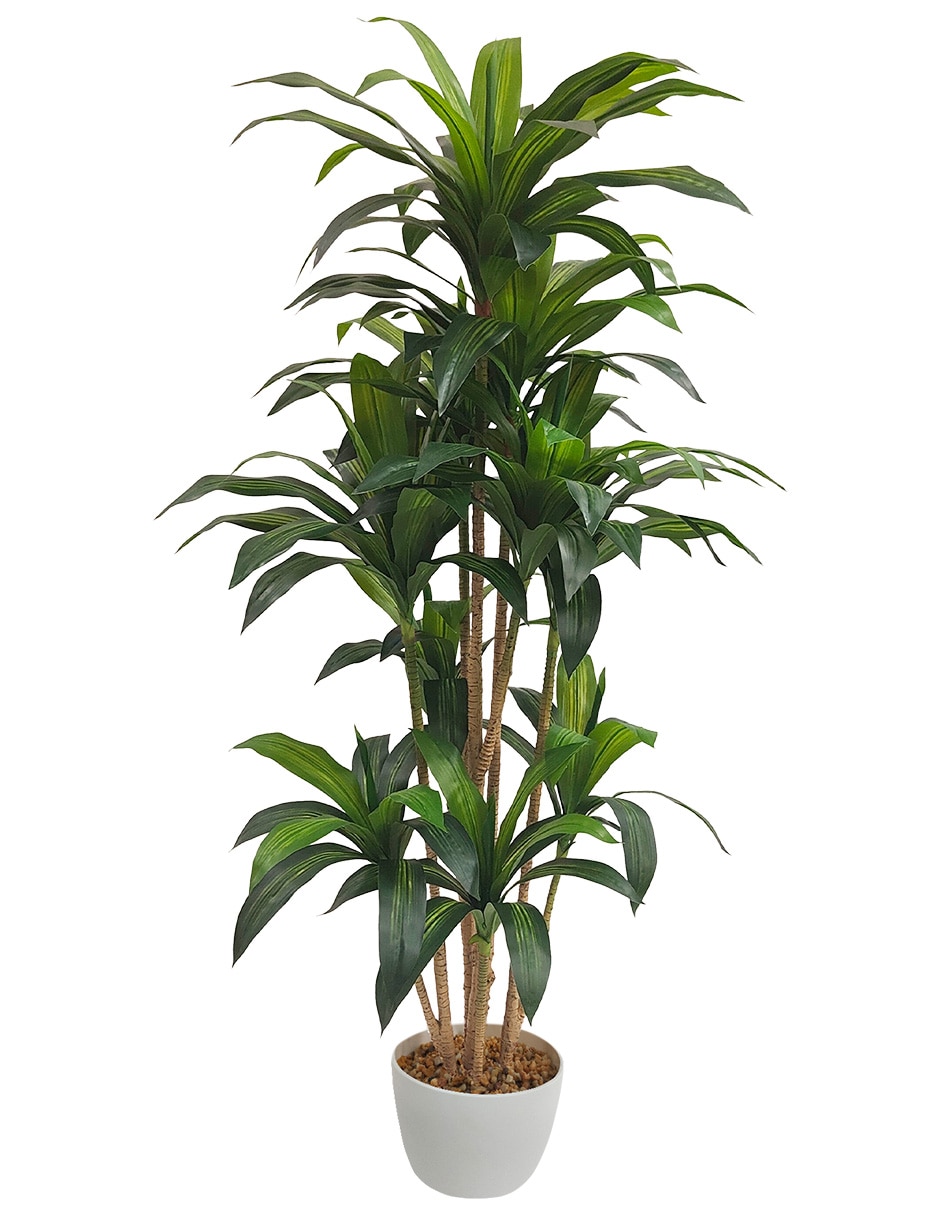Palo de brasil Artificial ARTEGO Dracaena