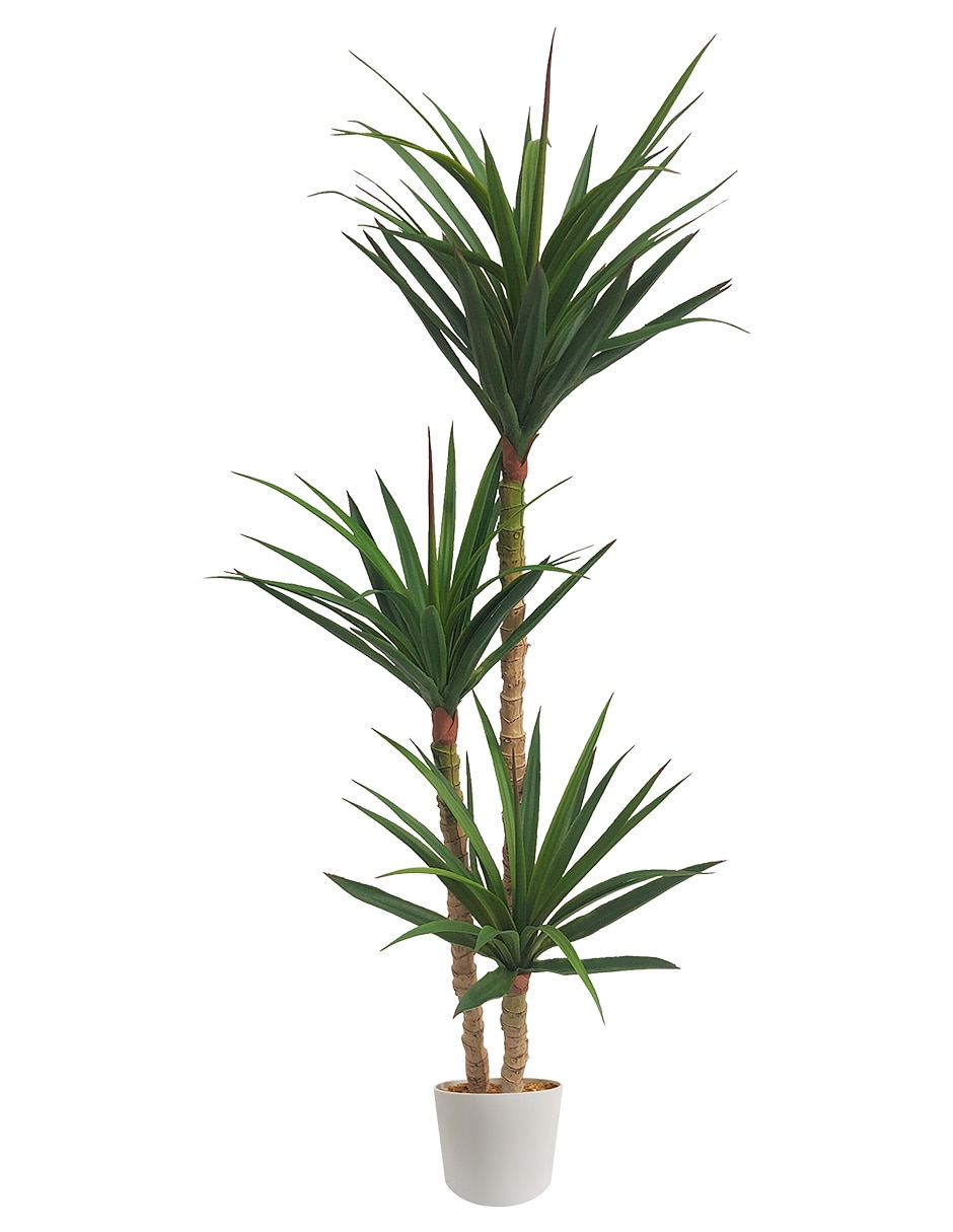 Palo de brasil artificial Dracaena 1