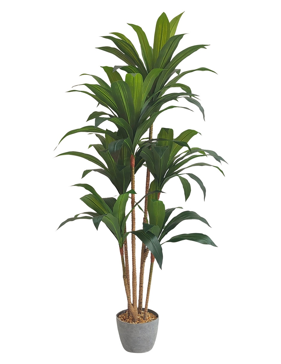 Palo de brasil Artificial ARTEGO Dracaena