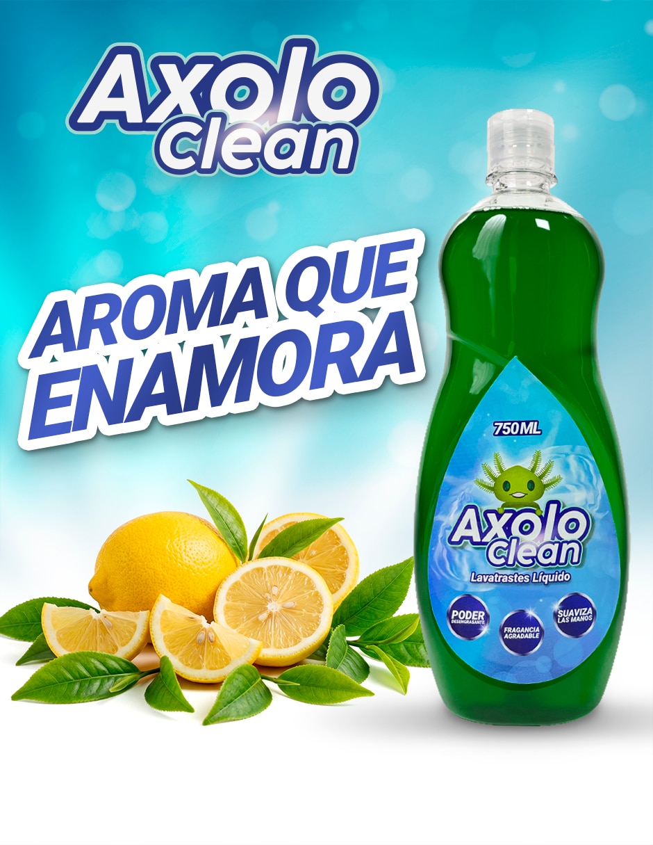 Set jabón para trastes líquido 750 ml 12