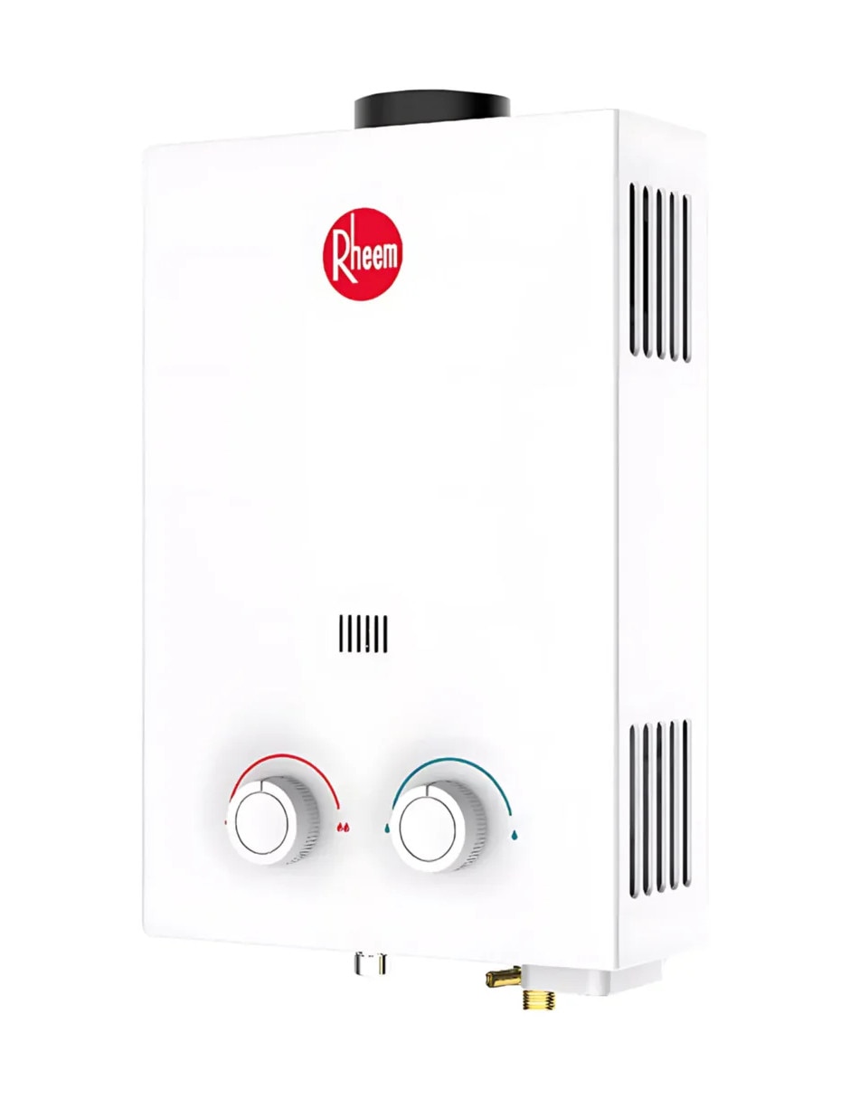 Calentador de paso Rheem RHE-CHN06P gas LP