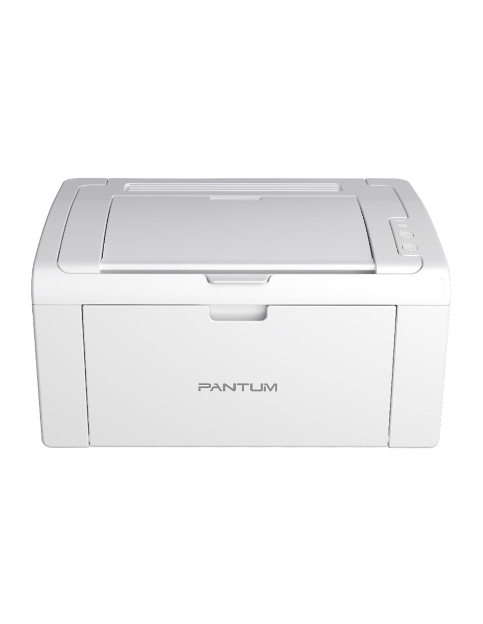 Impresora eléctrica Pantum modelo P2509W de toner alámbrica monocromática