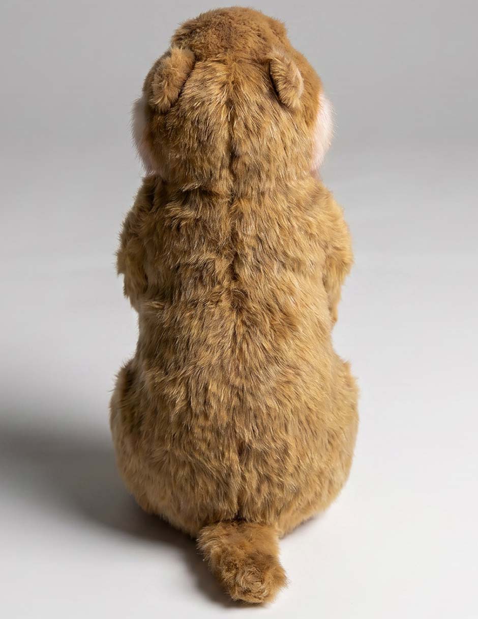 Peluche perrito de las praderas de 20 cm 3