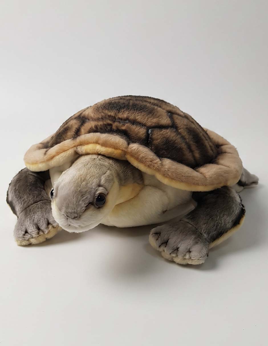 Peluche de tortuga de 15 cm 1