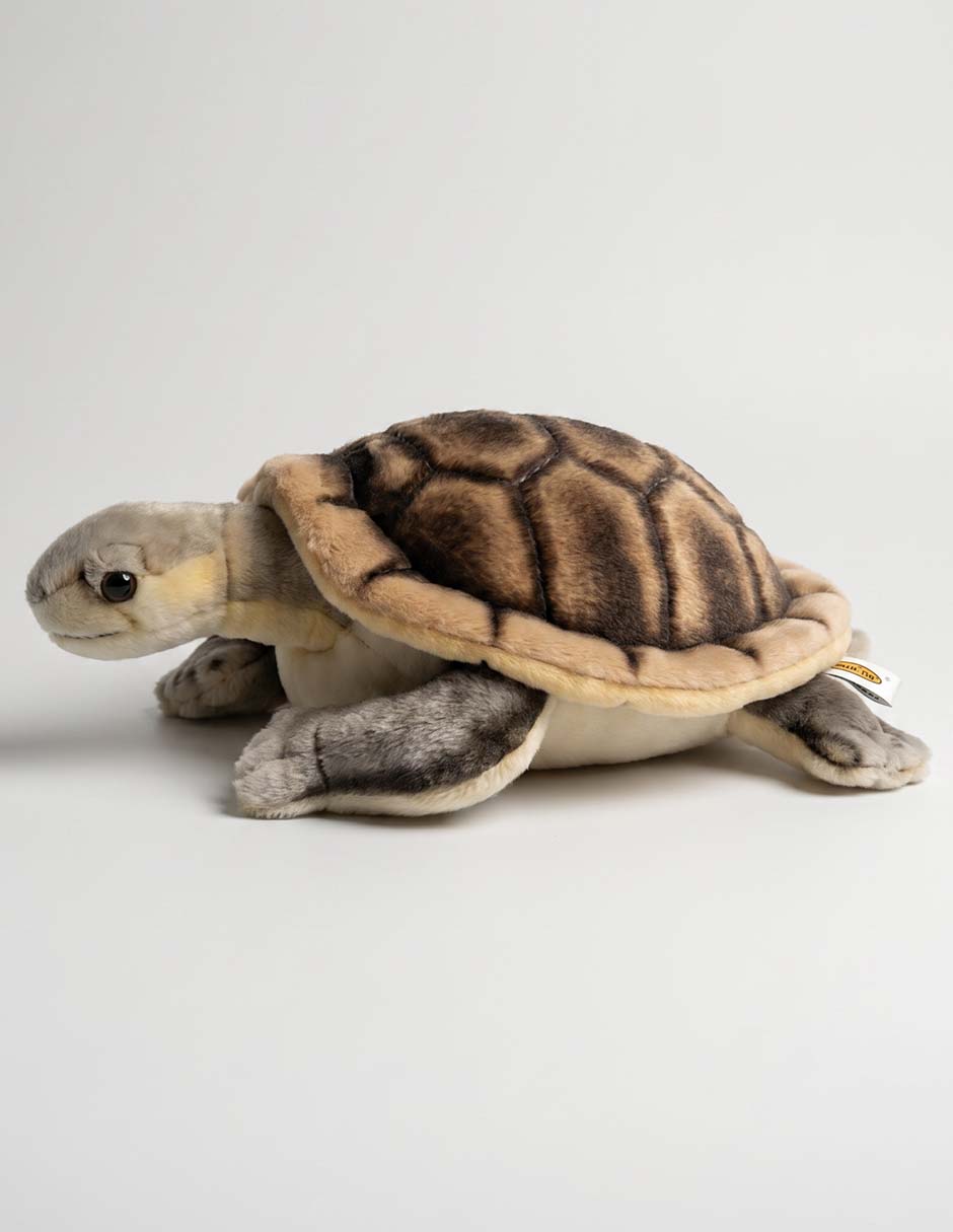 Peluche de tortuga de 15 cm 2