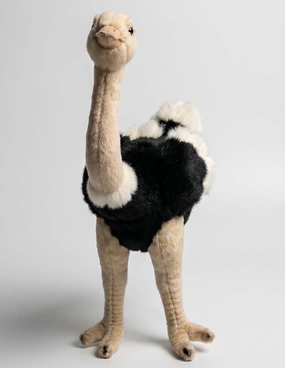 Peluche de avestruz de 30 cm 1