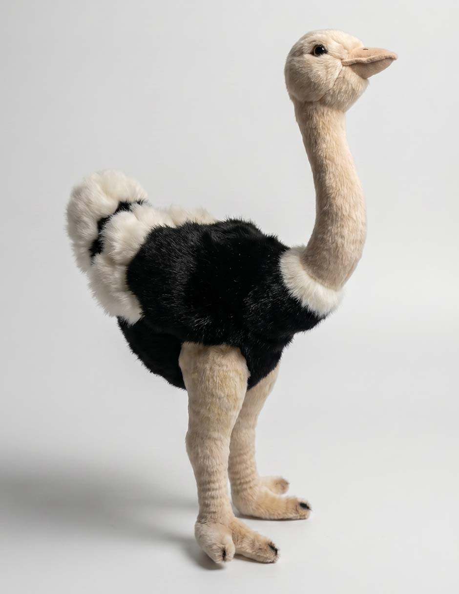 Peluche de avestruz de 30 cm Peluche de avestruz de 30 cm