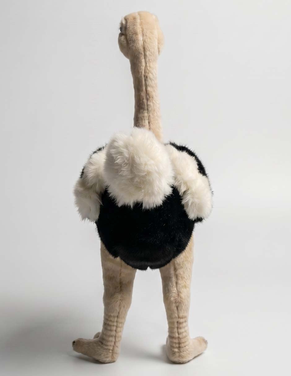 Peluche de avestruz de 30 cm 3