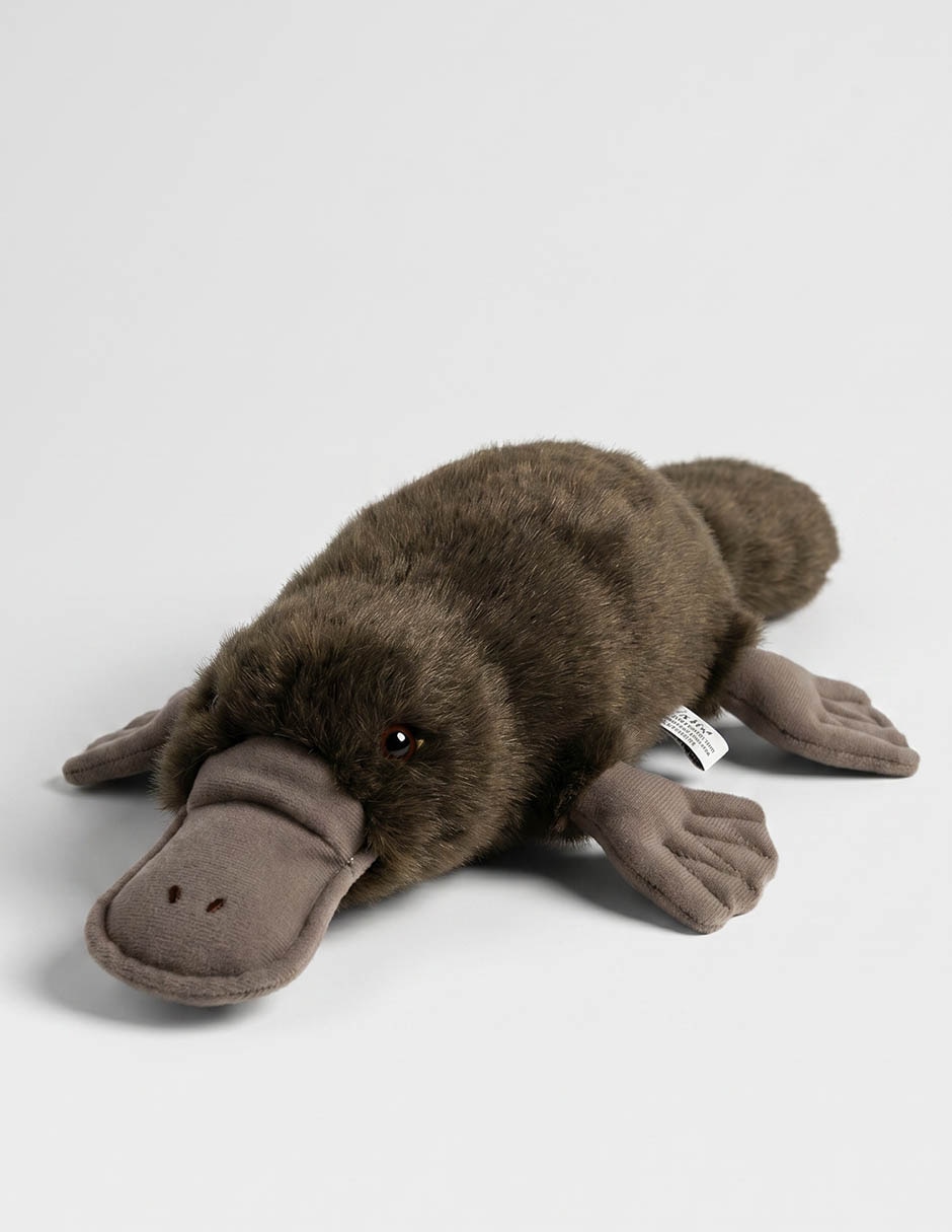 Peluche de Ornitorrinco de 14 cm 1