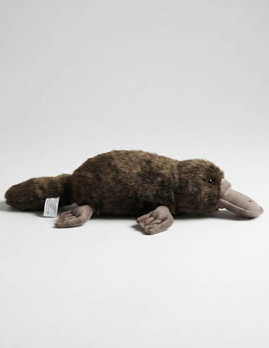Peluche de Ornitorrinco de 14 cm 2