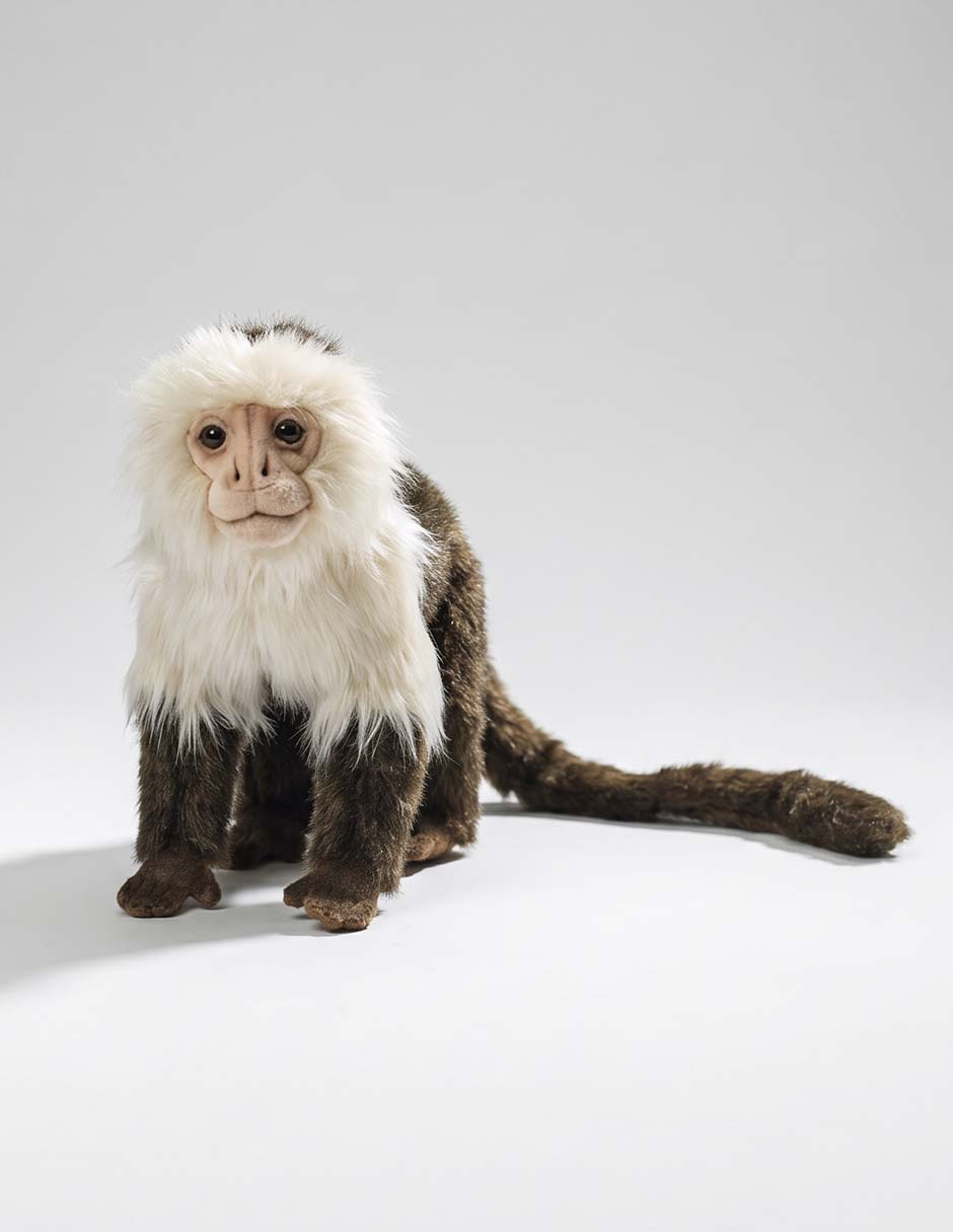 Peluche mono capuchino 1